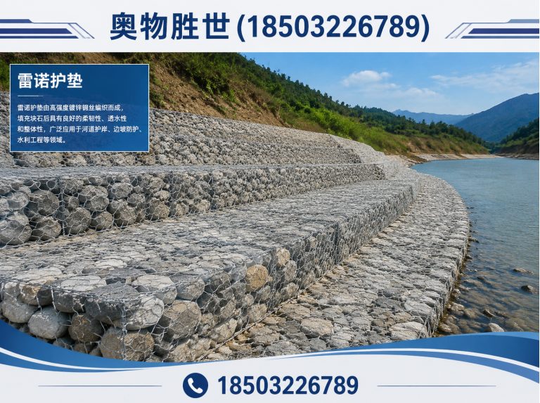 邯郸雷诺护垫展示图